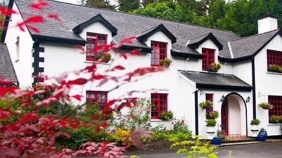 Woodside Lodge B&B | Mayo (kontluk) - Westport