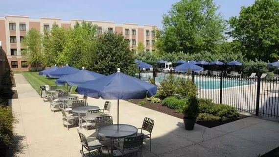 Comfort Inn Conference Center Bowie | Maryland - Annapolis (ve civarı) - Bowie