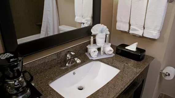 Holiday Inn Express & Suites Houston NW Beltway 8-West Road | Teksas - Houston (ve civarı) - Houston