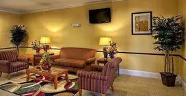 Comfort Inn New Orleans Airport | Louisiana - New Orleans (ve civarı) - Kenner - Kenner - Louis Armstrong Uluslararası Havalimanı