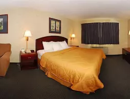 Comfort Inn Story City | Iowa - Ames (ve civarı) - Story City