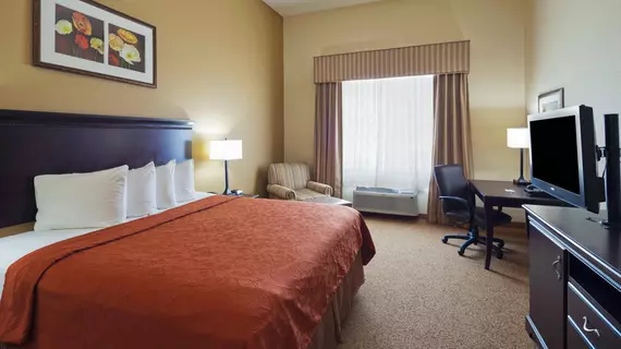 Country Inn & Suites Homewood | Alabama - Birmingham (ve civarı) - Homewood