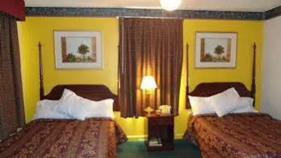 Ellijay Inn | Georgia - Blue Ridge (ve civarı) - Ellijay