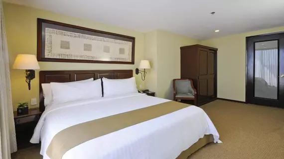 Holiday Inn Hotel & Suites Mexico Zona Rosa | Mexico City (ve civarı) - Meksiko - Cuauhtemoc