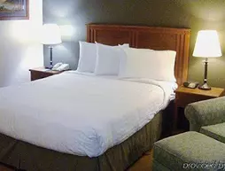 AmericInn Lodge & Suites Sioux City | Iowa - Sioux City (ve civarı) - Sioux City