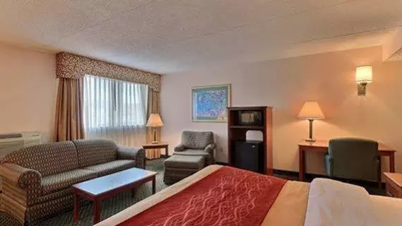 Comfort Inn Farmington Hills | Michigan - Detroit (ve civarı) - Farmington Hills