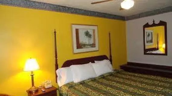 Ellijay Inn | Georgia - Blue Ridge (ve civarı) - Ellijay