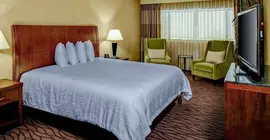 Hilton Garden Inn Monterey | Kaliforniya - Monterey (ve civarı) - Monterey