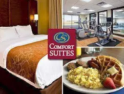 Comfort Suites | New Mexico - Las Cruces (ve civarı) - Las Cruces