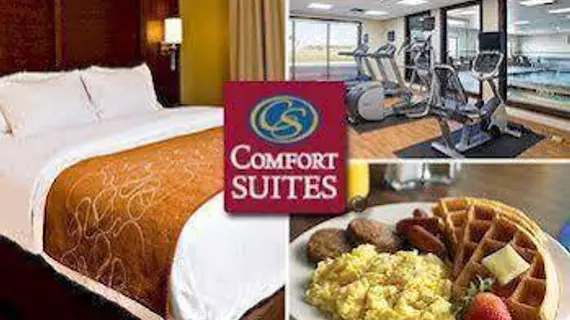 Comfort Suites | New Mexico - Las Cruces (ve civarı) - Las Cruces