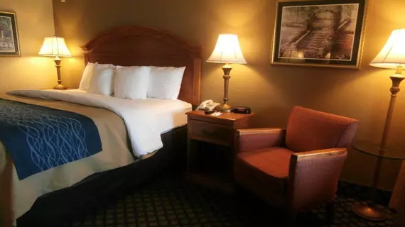 Comfort Inn Sun City Center | Florida - Tampa (ve civarı) - Sun City Center