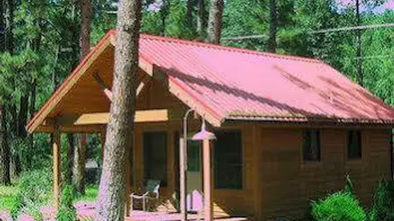 Shadow Mountain Lodge and Cabins | New Mexico - Ruidoso (ve civarı) - Ruidoso