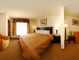 Best Western Plus Jackson/Cape Girardeau | Missouri - Sikeston (ve civarı) - Jackson