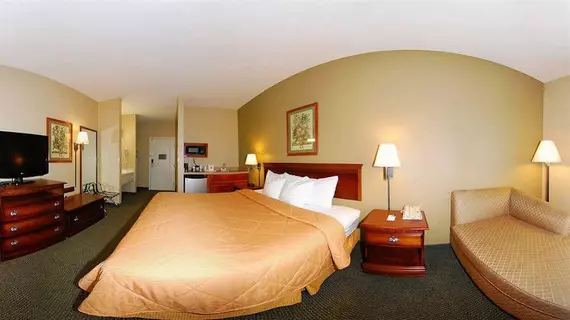 Comfort Inn & Suites Bryant | Arkansas - Little Rock (ve civarı) - Bryant