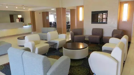 Holiday Inn Express Romulus / Detroit Airport | Michigan - Detroit (ve civarı) - Romulus