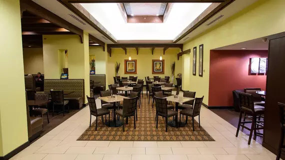 Holiday Inn - Rochester Downtown | Minnesota - Rochester (ve civarı) - Rochester