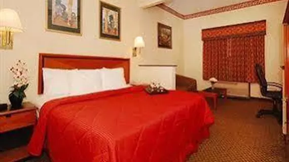 Comfort Inn & Suites Airport South | Georgia - Atlanta (ve civarı) - College Park