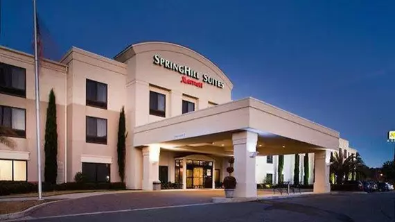 SpringHill Suites by Marriott Savannah I-95 South | Georgia - Savannah (ve civarı) - Savana