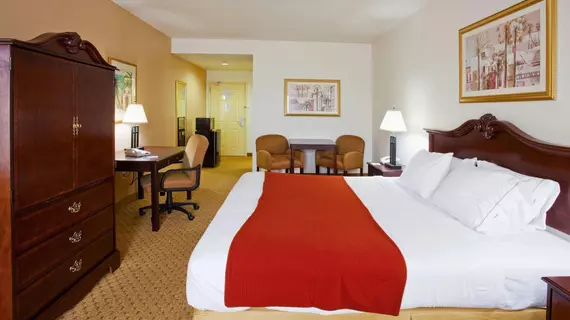 Holiday Inn Express Hotel & Suites Tampa Stadium-Airport | Florida - Tampa (ve civarı) - Tampa