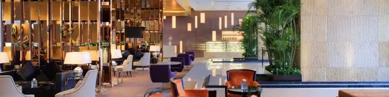 Radisson Blu Plaza Chongqing | Chongqing (ve civarı) - Chongqing - Haitangxi - Yuzhong