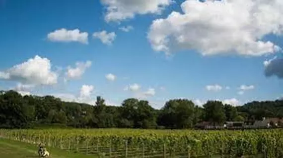 Aldwick Court Farm & Vineyard | Bristol (ve civarı) - North Somerset - Bristol