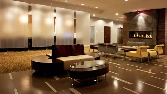 Holiday Inn Hotel & Suites Detroit Metro Airport | Michigan - Detroit (ve civarı) - Romulus