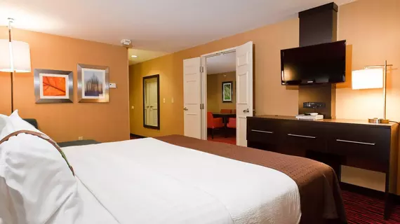 Holiday Inn Colorado Springs - Airport | Kolorado - Colorado Springs (ve civarı) - Colorado Springs