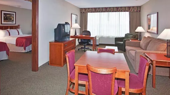 Holiday Inn Hotel & Suites Warren | Michigan - Detroit (ve civarı) - Warren