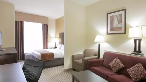 Comfort Suites North Pflugerville | Teksas - Austin (ve civarı) - Pflugerville