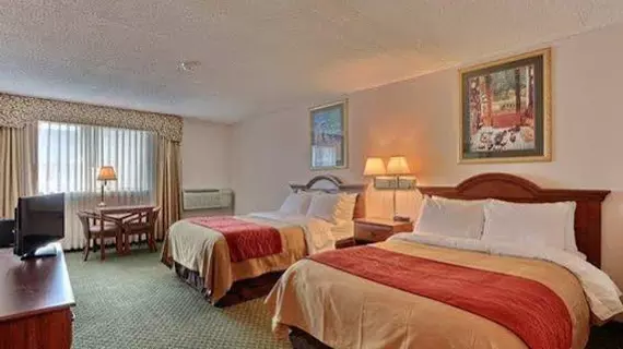 Comfort Inn Farmington Hills | Michigan - Detroit (ve civarı) - Farmington Hills