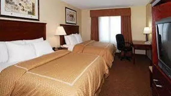 Comfort Suites Wixom / Novi | Michigan - Detroit (ve civarı) - Wixom