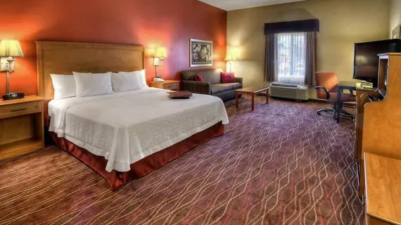 Hampton Inn Twin Falls | Idaho - Twin Falls (ve civarı) - Twin Falls