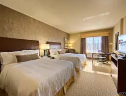 Hilton Garden Inn DFW North Grapevine | Teksas - Dallas (ve civarı) - Grapevine