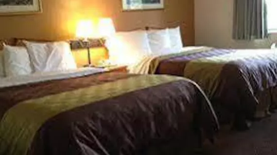 HomeTown Inn & Suites | Minnesota - Waconia (ve civarı) - Belle Plaine