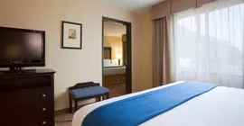 Holiday Inn Express & Suites Verona | Wisconsin - Madison (ve civarı) - Verona