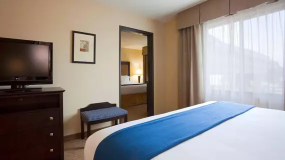 Holiday Inn Express & Suites Verona | Wisconsin - Madison (ve civarı) - Verona