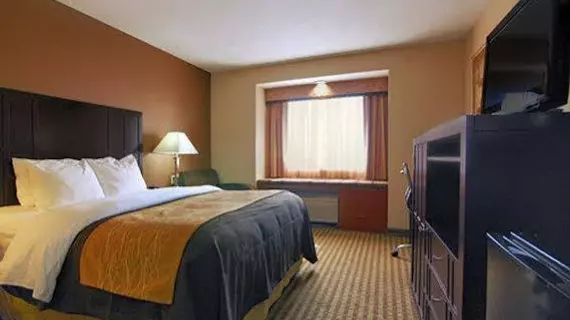 Comfort Inn Portland | Oregon - Portland (ve civarı) - Portland