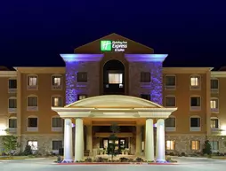 Holiday Inn Express Hotel & Suites Texarkana East | Arkansas - Texarkana (ve civarı) - Texarkana