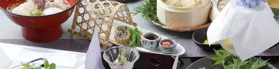 Manten-no-Hoshi | Kanagava (idari bölge) - Ashigarashimo Bölgesi - Hakone (ve civarı) - Hakone