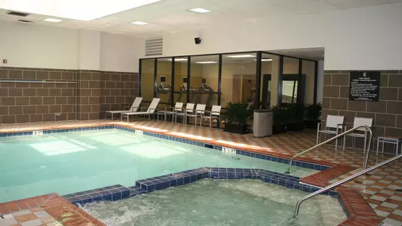 Embassy Suites Atlanta - Perimeter Center | Georgia - Atlanta (ve civarı) - Dunwoody