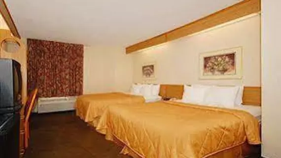 Sleep Inn Airport | Güney Karolayna - Columbia (ve civarı) - West Columbia - Springdale