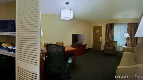 Embassy Suites San Antonio - International Airport | Teksas - San Antonio (ve civarı) - San Antonio - Kuzey San Antonio - SAT Havalimanı