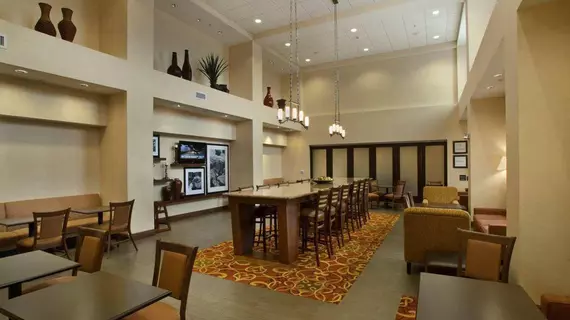 Hampton Inn & Suites McAllen | Teksas - McAllen (ve civarı) - McAllen