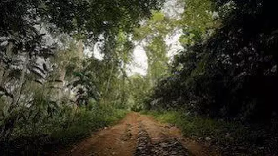 Eco Tones | Kerala - Idukki Bölgesi - Devikolam