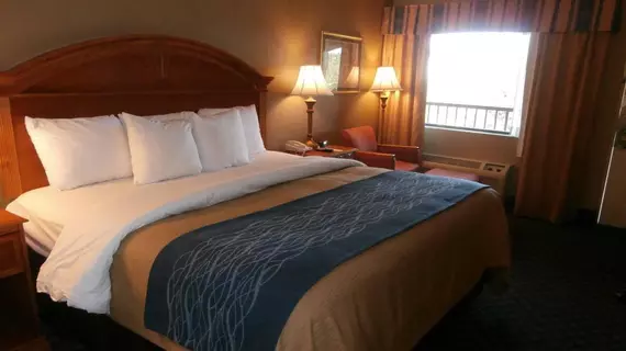 Comfort Inn Sun City Center | Florida - Tampa (ve civarı) - Sun City Center