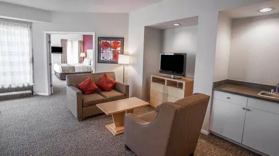 Comfort Suites Michigan Avenue | İllinois - Chicago (ve civarı) - Chicago - The Loop