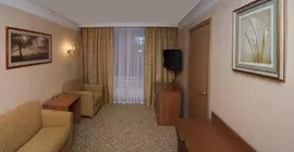 Malachite Congress Hotel | Çelyabinsk Oblastı - Chelyabinsk