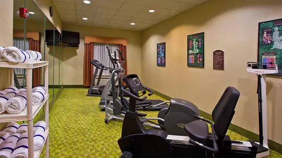 Holiday Inn Express Hotel & Suites Tampa-Fairgrounds-Casino | Florida - Tampa (ve civarı) - Tampa