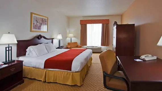 Holiday Inn Express Hotel & Suites Tampa Stadium-Airport | Florida - Tampa (ve civarı) - Tampa