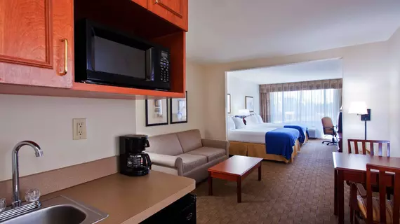 Holiday Inn Express Hotel & Suites Bessemer | Alabama - Birmingham (ve civarı) - Bessemer